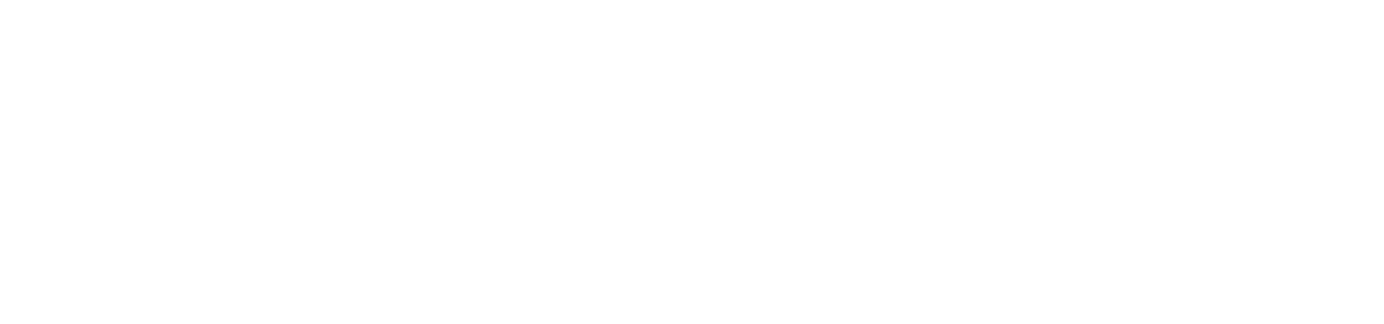 The Agency Logo