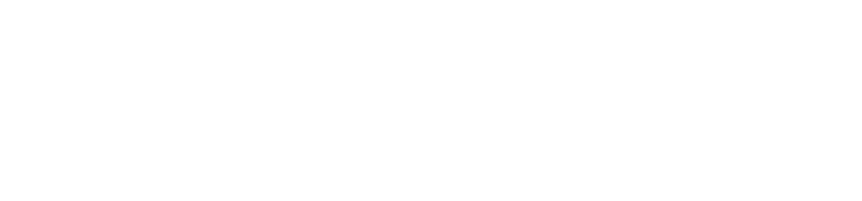 The Agency Logo